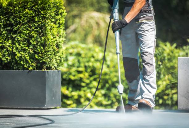 Best Fence Cleaning and Maintenance in Harlem, GA